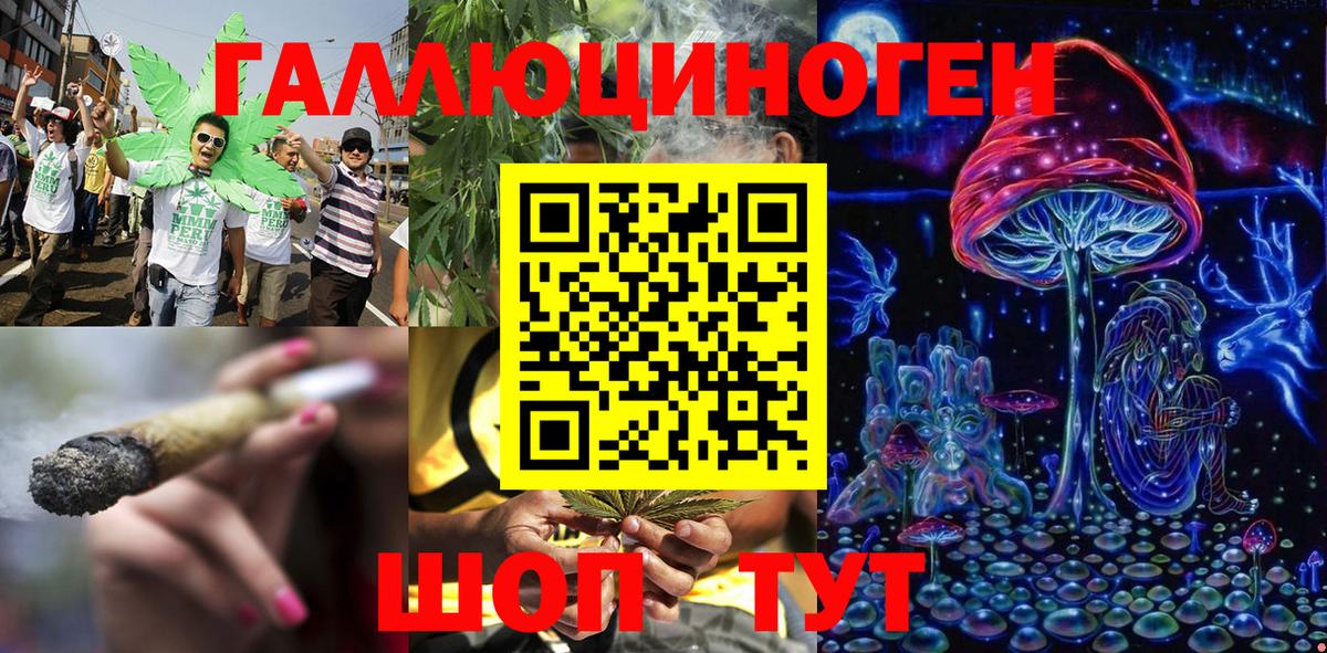Галлюциногенные грибы Psilocybine cubensis  Вход с VPN  Кувандык 