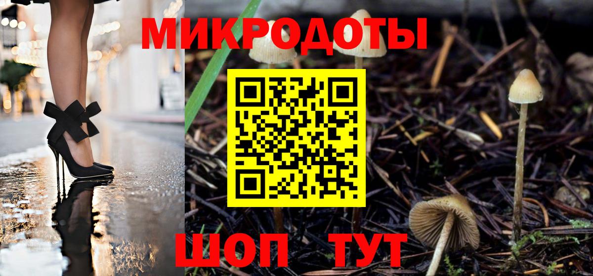 Псилоцибиновые грибы Cubensis Кувандык